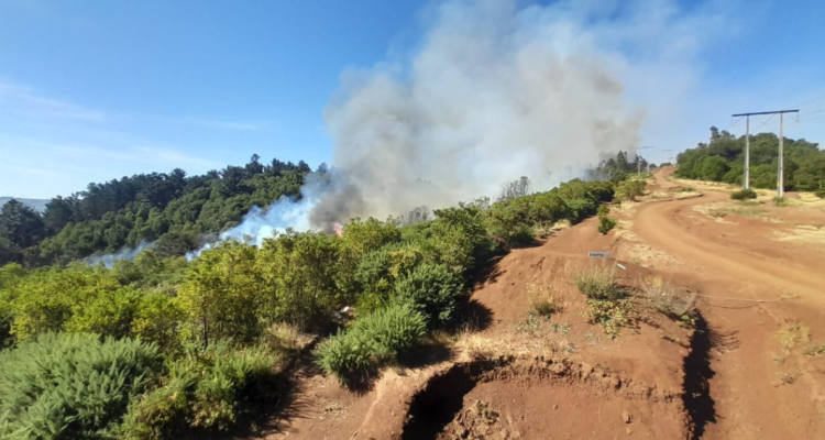 Incendio forestal que derivó en Alerta Roja en Temuco