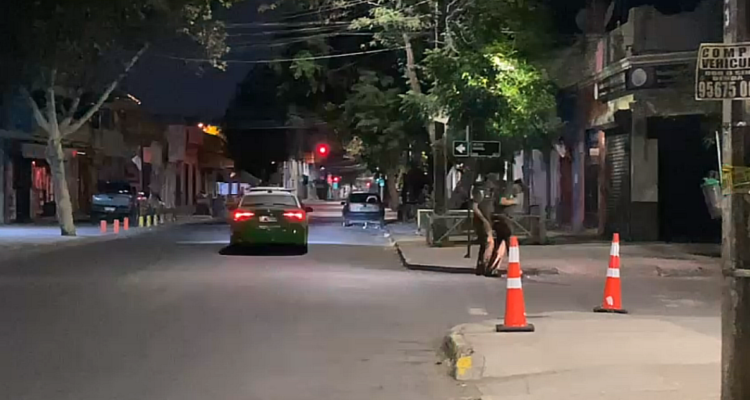 Triple homicidio frustrado en barrio Franklin deja hombre en riesgo vital