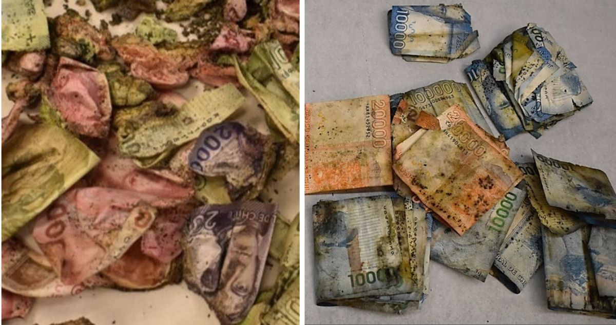Qué hacer y cómo cambiar billetes dañados o quemados ¿se pueden cambiar?