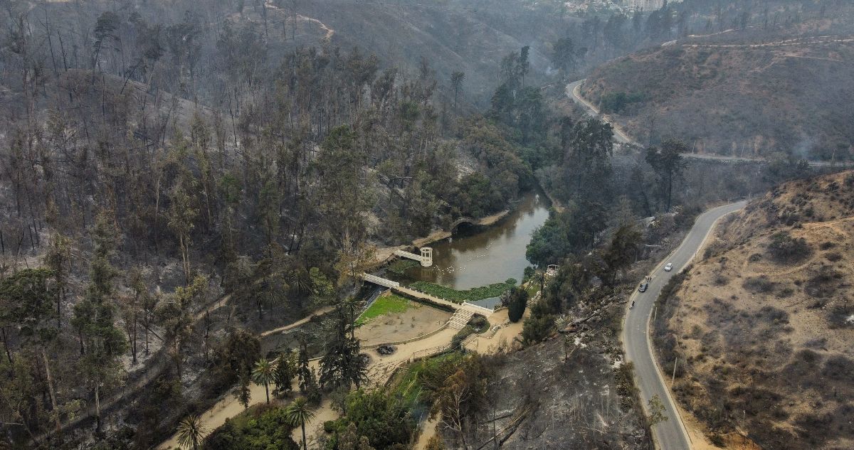 Gobierno detalla proceso de recuperación de Jardín Botánico y anuncia entrega de $500 millones