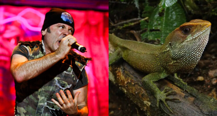 Nombran a nueva especie de lagartija en honor a “Bruce Dickinson”, el primer vocalista de Iron Maiden