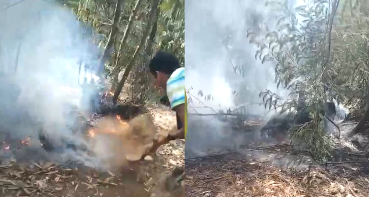 Acusan incendio forestal intencional en Puchuncaví: vieron a hombre huir y dejar bidón con papeles