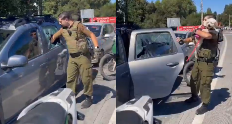 Perrito fue encerrado en camioneta bajo pleno sol y tuvo que ser rescatado en Saltos del Laja