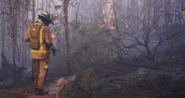 Cinco brigadistas forestales resultaron heridos en incendio en Ñuble: dos permanecen internados