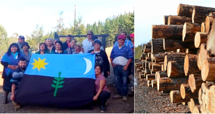 Comunidad mapuche huilliche paraliza indefinidamente faena forestal en San Pablo