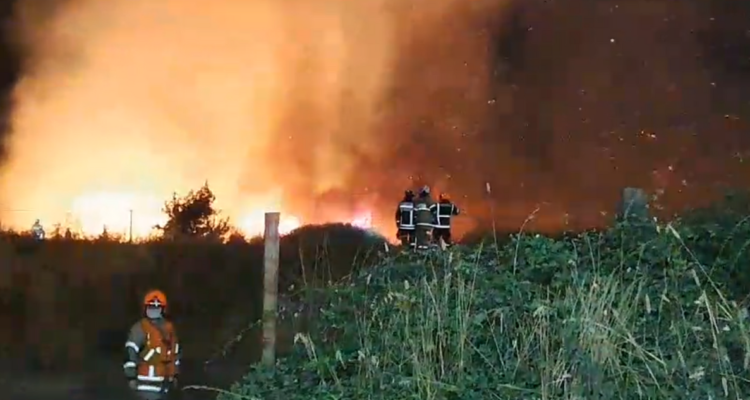 Decretan Alerta Roja en Los Ángeles por incendio forestal que amenaza a viviendas