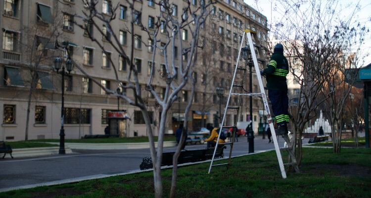 Desempleo en Chile llega a 8,4%: en RM hubo descenso por incidencia de empleo en el sector público