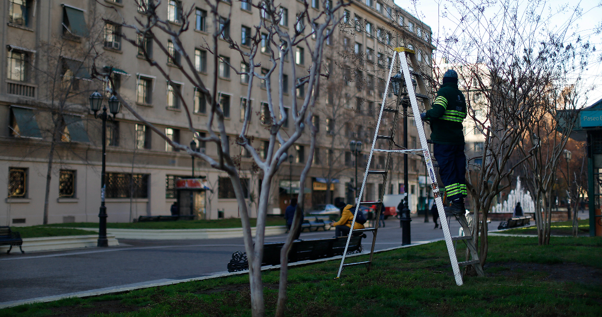 Desempleo en Chile llega a 8,4%: en RM hubo descenso por incidencia de empleo en el sector público