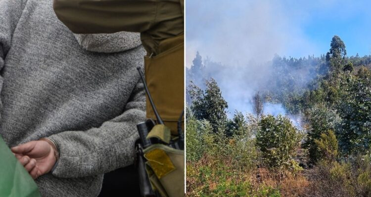 Detienen a hombre que inició incendio en el Maule mientras realizaba trabajos de soldadura