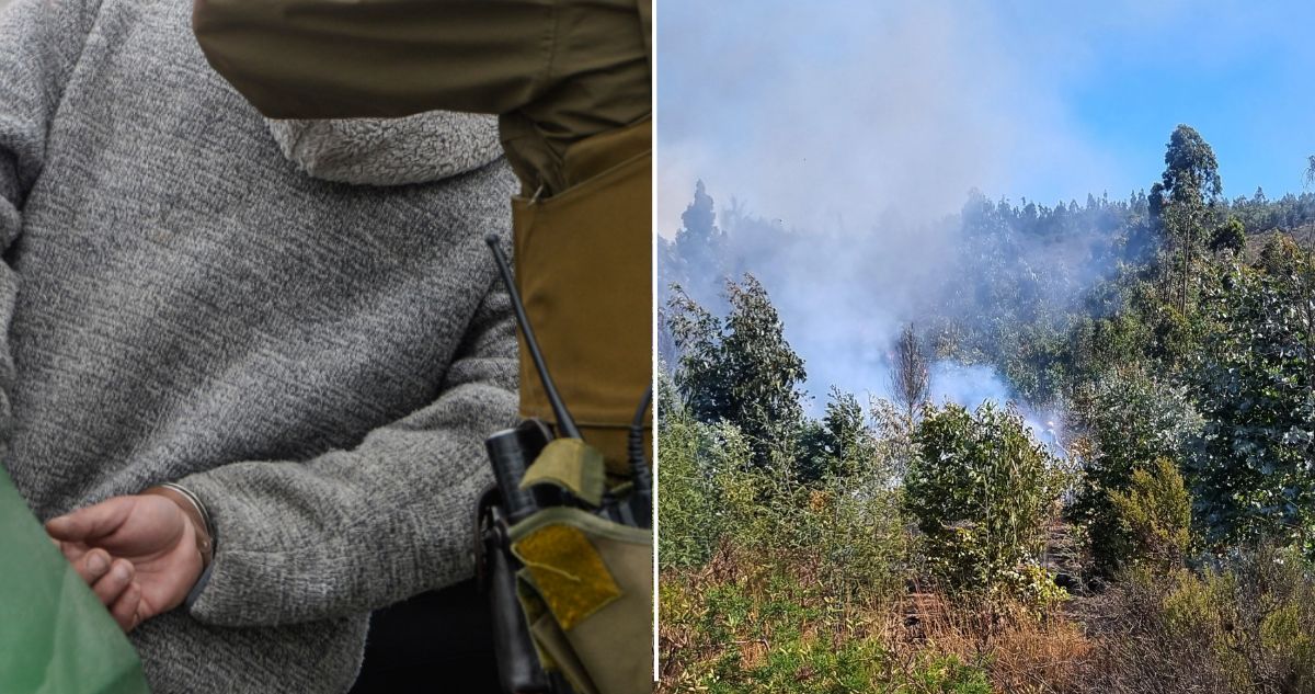 Detienen a hombre que inició incendio en el Maule mientras realizaba trabajos de soldadura