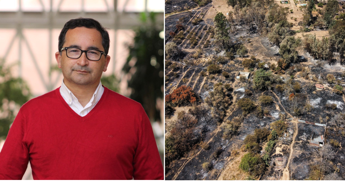 Ley corta de incendios