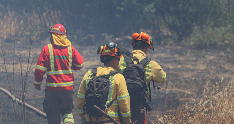 Detienen a mujer por incendiar casa de su pareja y habría desatado siniestro forestal en Traiguén