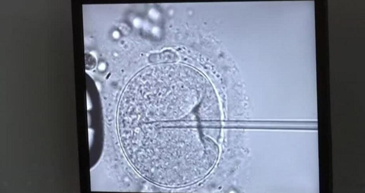 Embriones son “niños” no nacidos: el polémico fallo que complica a clínicas de fertilidad en Alabama