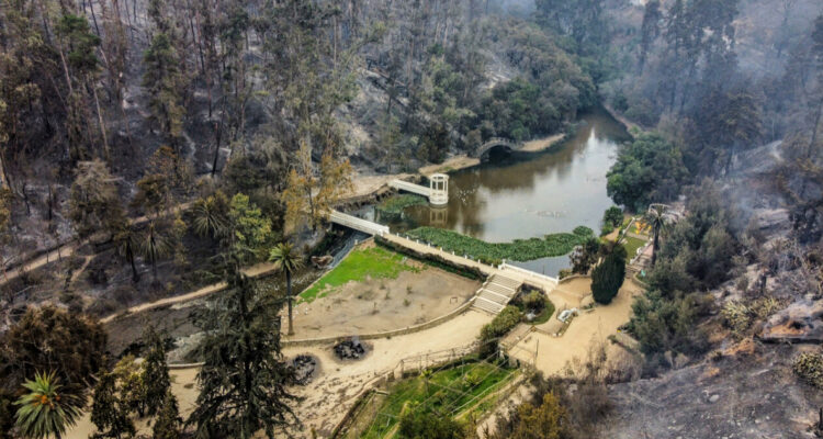 En libertad: Fiscalía declina formalizar a dos detenidos sospechosos de iniciar fuego en Viña del Mar