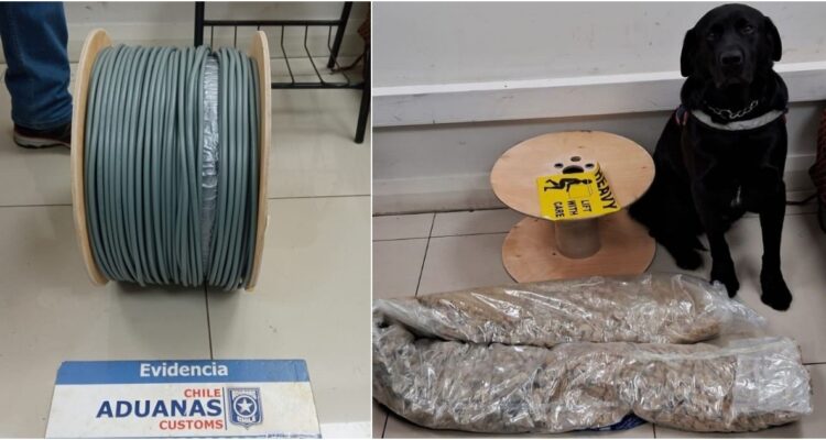 Cae sujeto que recibiría carrete de cables desde Alemania: escondía más de $500 millones en éxtasis