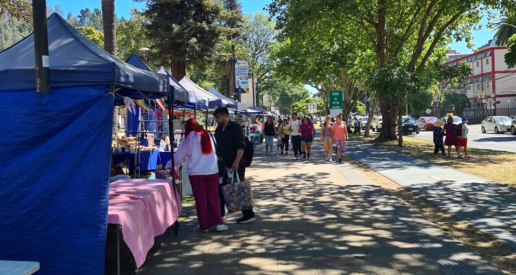 Comercio ambulante en Concepción