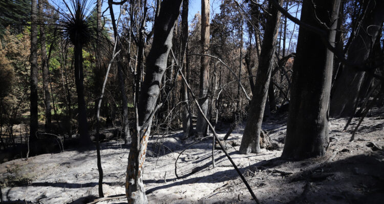 Incendios Valparaíso