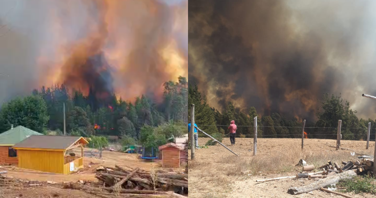 Ordenan evacuar sector en Purén por incendio forestal