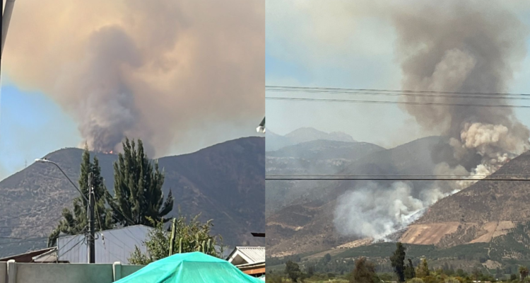 Reportan incendio forestal descontrolado en la comuna de Nogales: al menos 5 hectáreas arrasadas