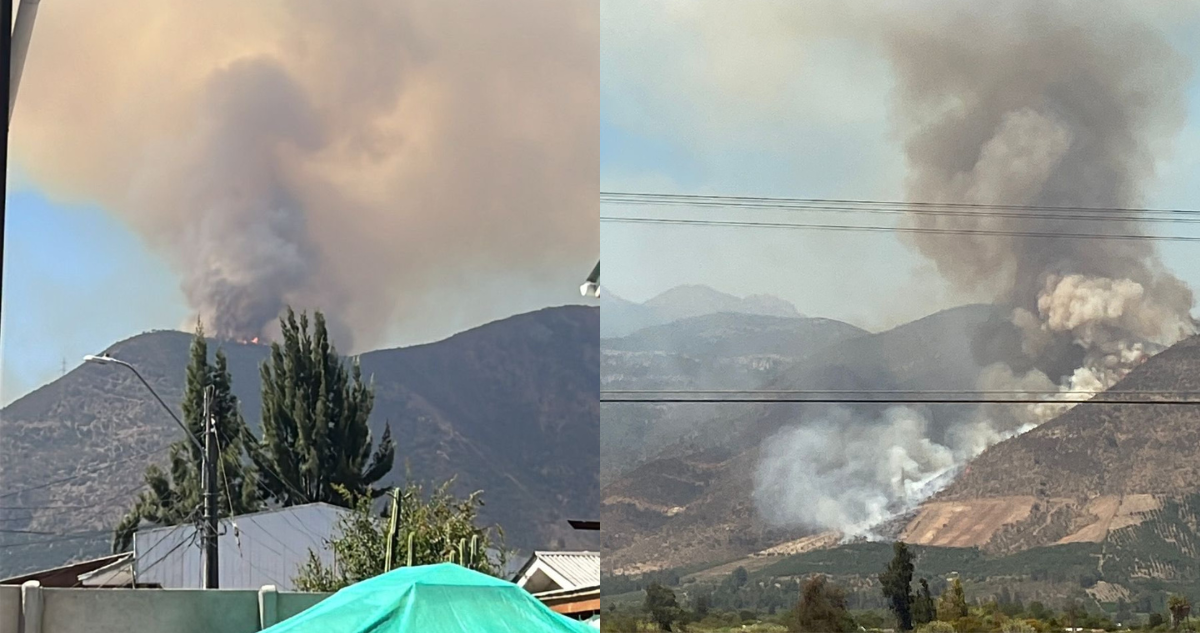 Reportan incendio forestal descontrolado en la comuna de Nogales: al menos 5 hectáreas arrasadas