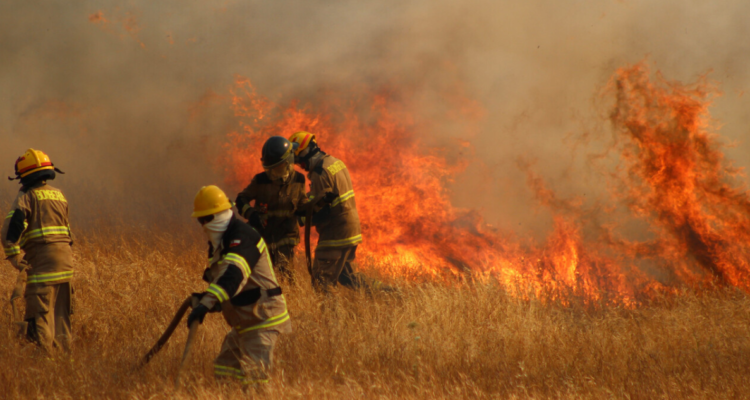 Imputado por iniciar incendio forestal en Maule quedó con arraigo nacional