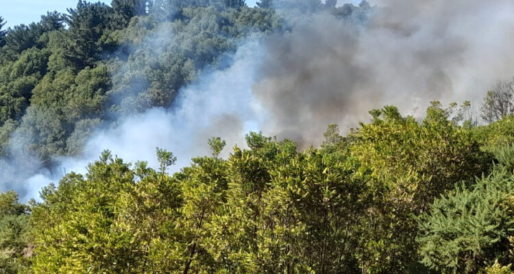 Imagen del incendio en Cerro Ñielol