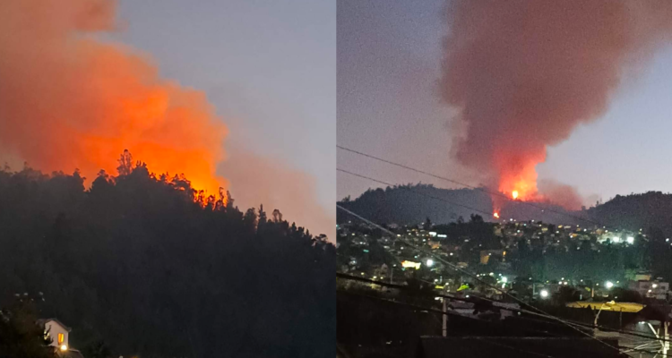 Incendio afecta a Constitución: alcalde asegura que está cerca de zonas pobladas y que es intencional