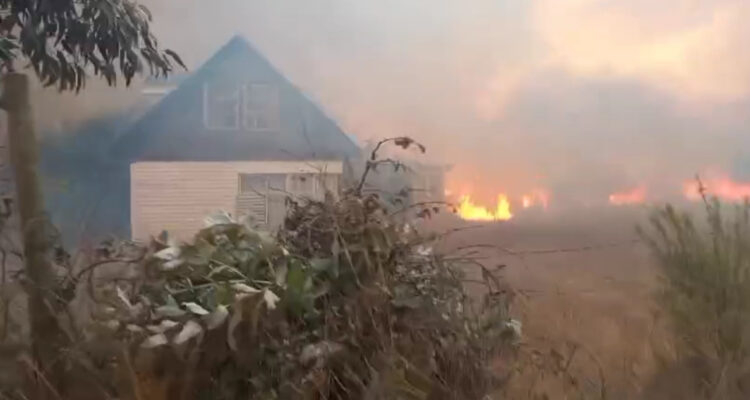 RM: Declaran Alerta Roja y piden evacuar sector de San Pedro por incendio forestal que amenaza casas