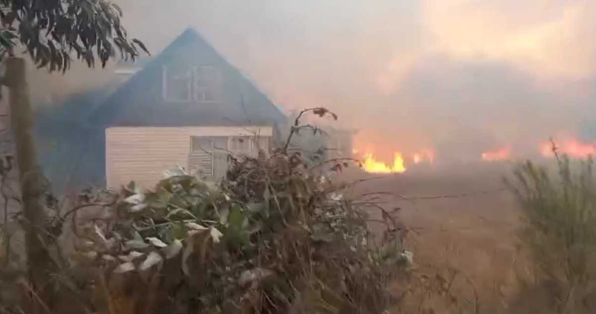 RM: Declaran Alerta Roja y piden evacuar sector de San Pedro por incendio forestal que amenaza casas