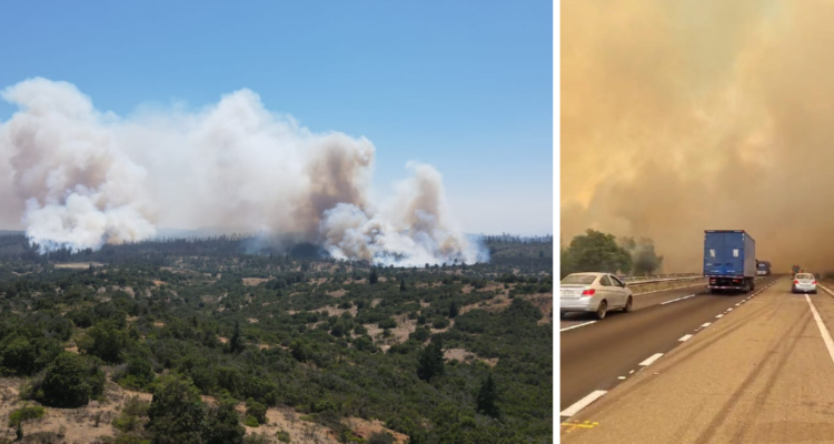 Incendio forestal en Casablanca
