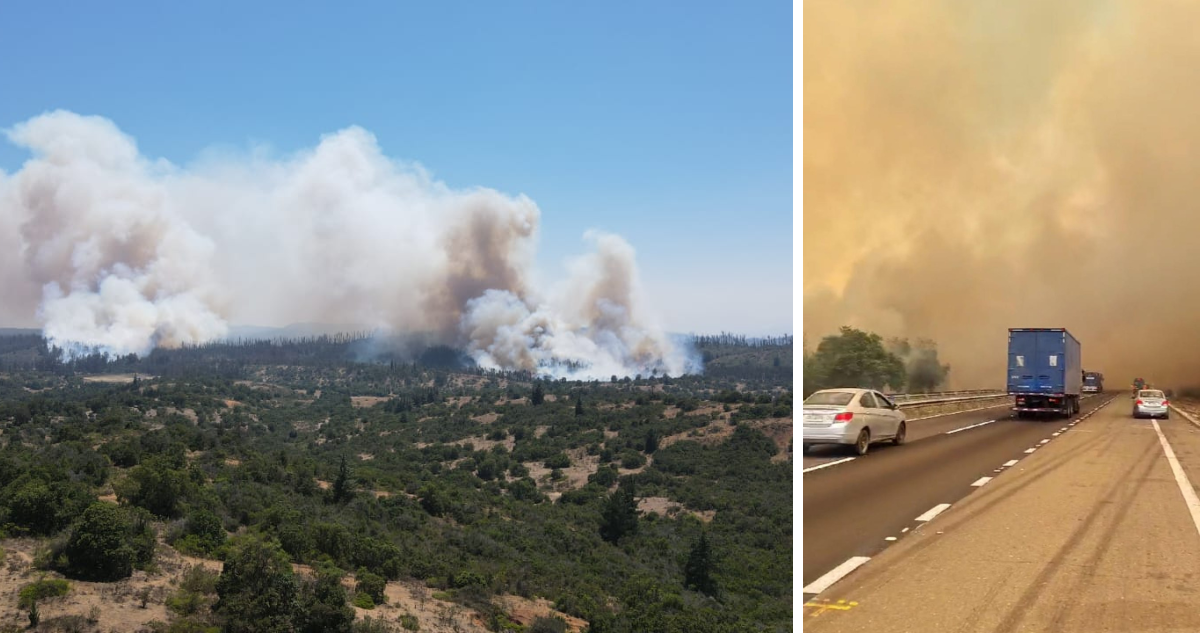 Incendio forestal en Casablanca
