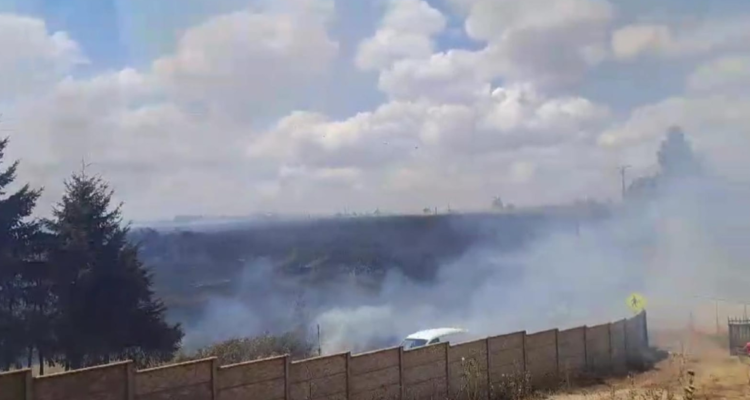 Incendio forestal en sector Labranza de Temuco