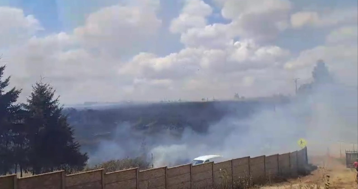 Incendio forestal en sector Labranza de Temuco