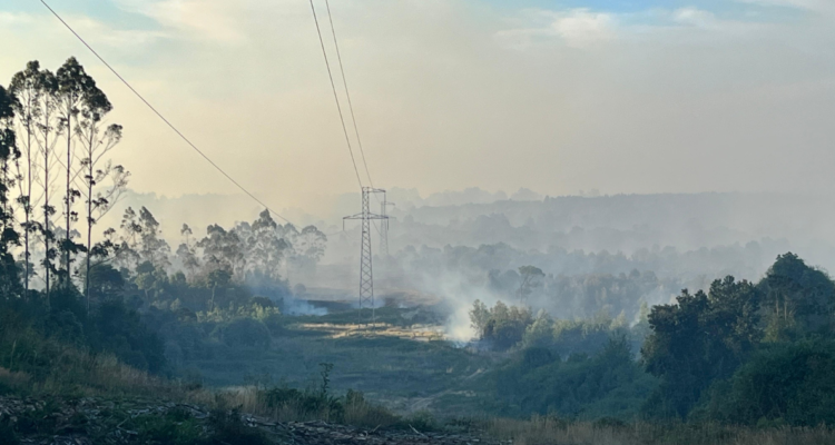 Imagen de incendio forestal en Puerto Montt