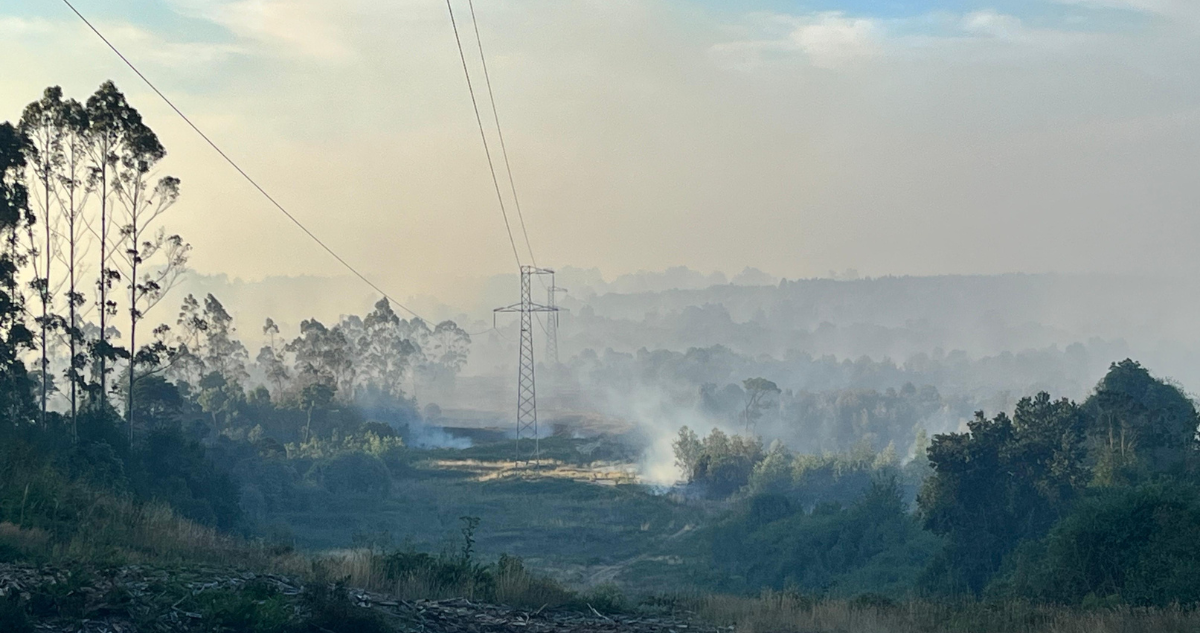 Imagen de incendio forestal en Puerto Montt