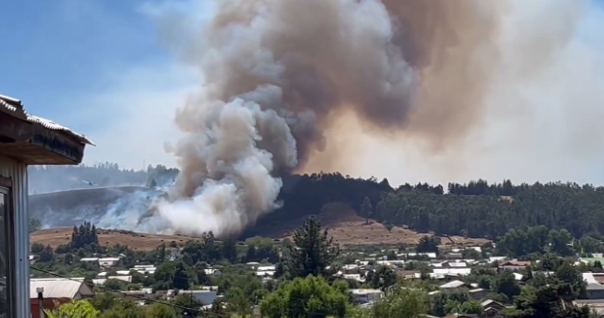 Declaran Alerta Roja en Traiguén por incendio forestal por amenaza a viviendas