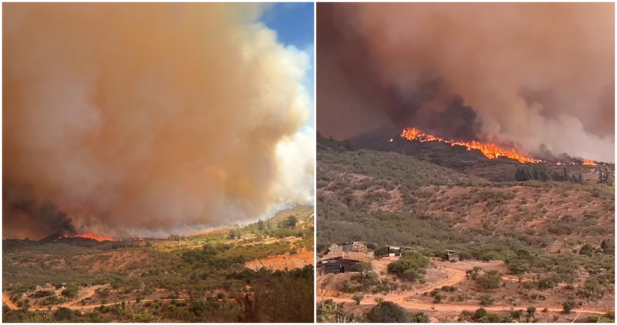 Incendio forestal en Villa Alemana