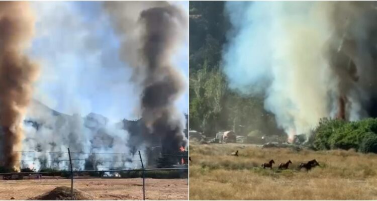 Incendio de pastizales deja gran columna de humo en Ciudad Empresarial