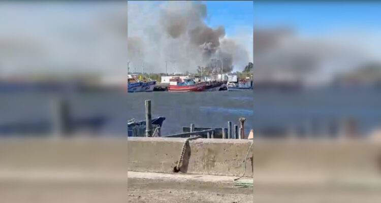 Controlan incendio forestal que amenazó viviendas en la comuna de Lebu