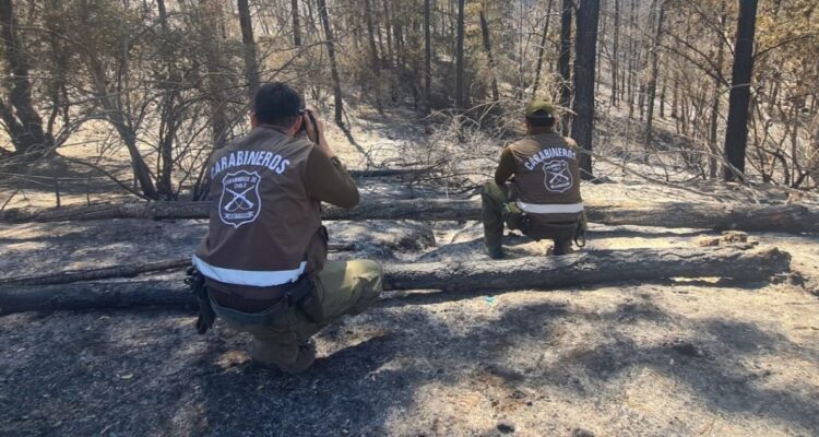Incendios en O’Higgins consumen 9 mil hectáreas y han destruido 73 casas: al menos 7 siguen activos