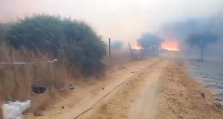 incendio san pedro