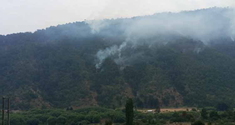 Incendios forestales en Lonquimay