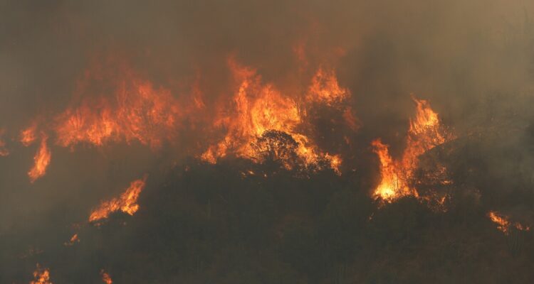 Senapred declaró poco antes de las 19:00 horas de este domingo alertas rojas en las comunas de Retiro, Parral y San Javier por incendios forestales que afectan la zona.