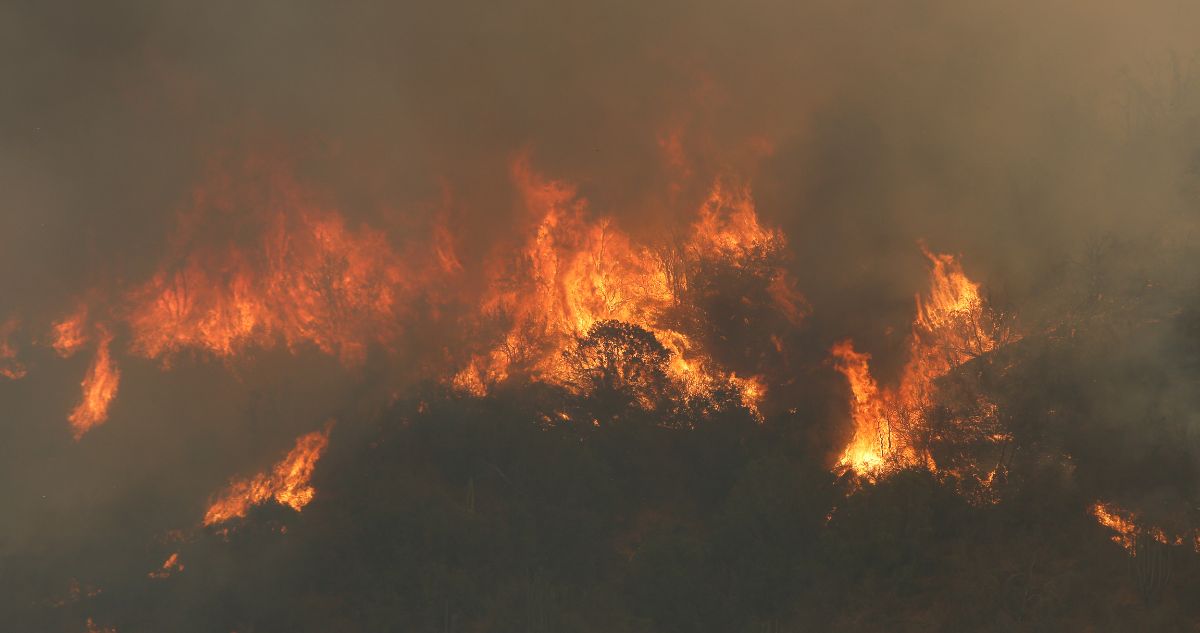 “Intensidad alta”: delegado de O’Higgins entrega balance de 8 incendios forestales en la zona