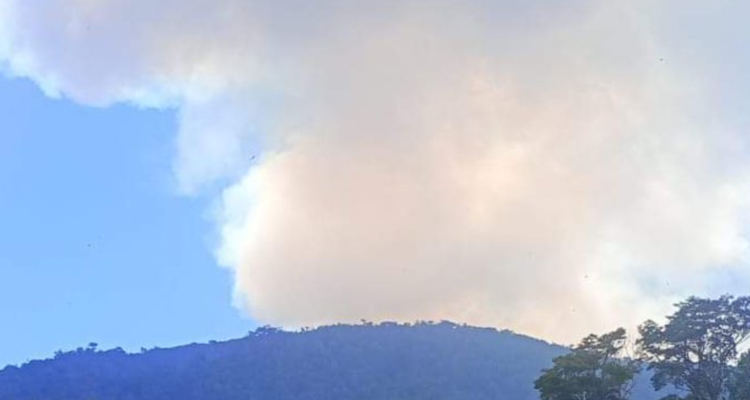 incendios forestales región de O’Higgins