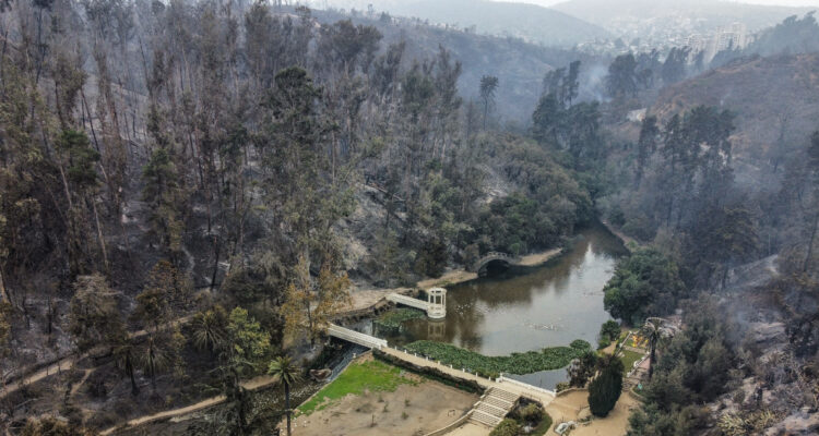 ¿Cuánto tiempo tomará recuperar el Jardín Botánico de Viña del Mar?