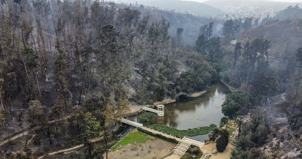 ¿Cuánto tiempo tomará recuperar el Jardín Botánico de Viña del Mar?