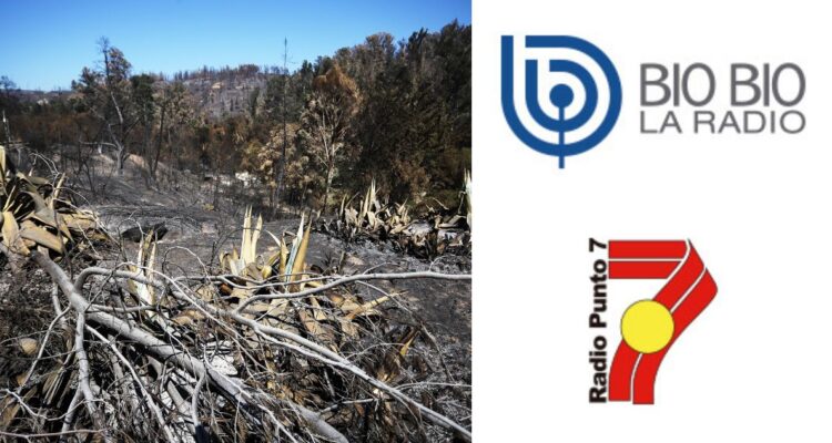 Dónde y a qué hora ver Juntos por una causa, el evento solidario de Radio Bio Bio desde el Jardín Botánico en ayuda por incendios en Viña del Mar y Quilpué.