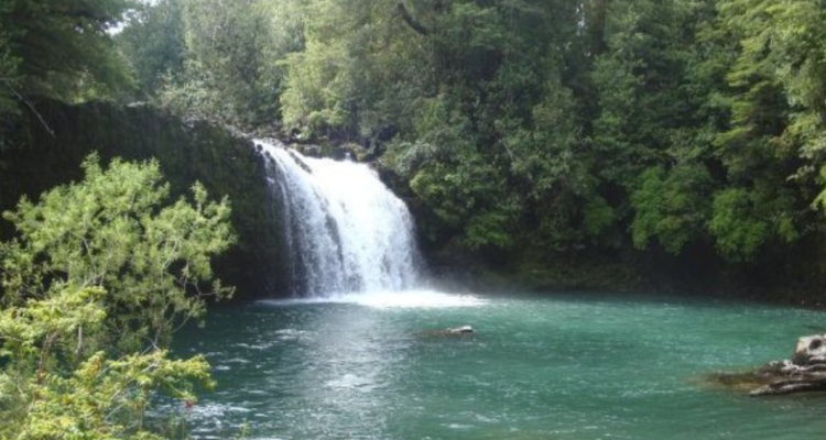 Imagen del Parque Nacional Puyehue por Geoparque en Lago Ranco