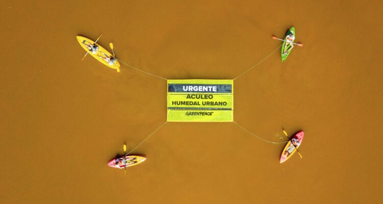 Greenpeace se suma a petición de declarar humedal urbano a la Laguna de Aculeo: “Es urgente”